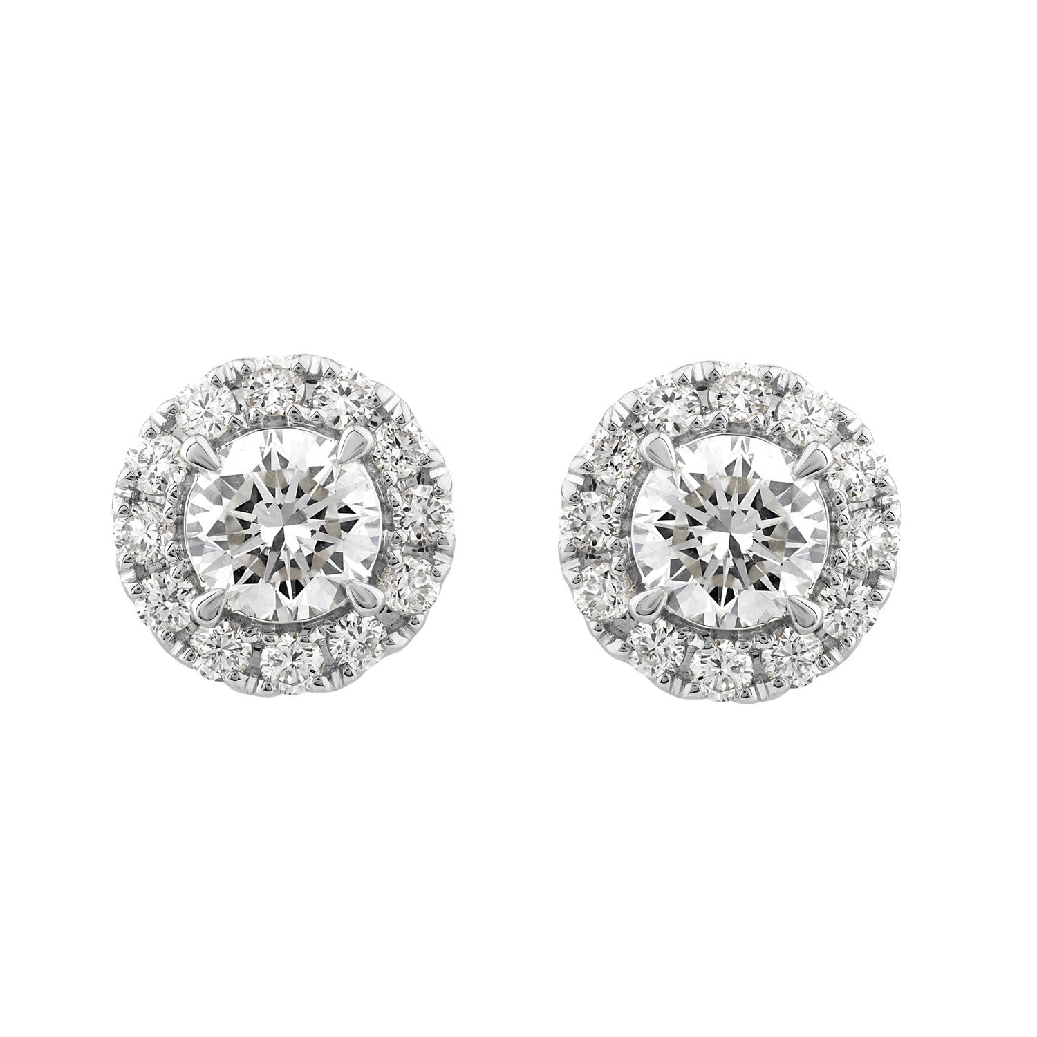 1.00ct Lab Grown Diamond Ear Studs in 18ct White Gold